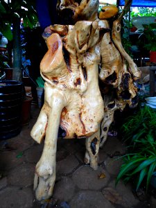 Root carving in Haikou 03 photo