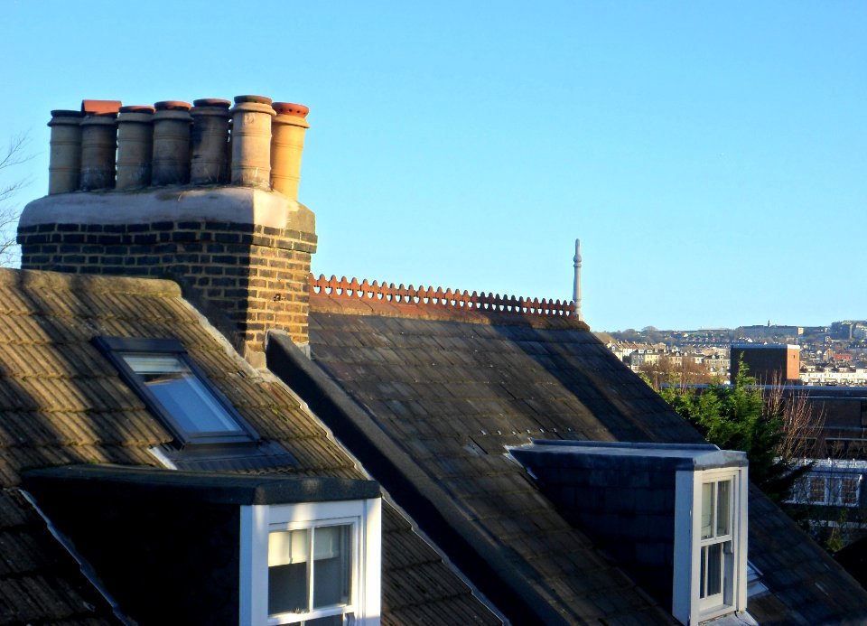 Rooftops of Lover's Walk, Preston Park, Brighton (December 2013)