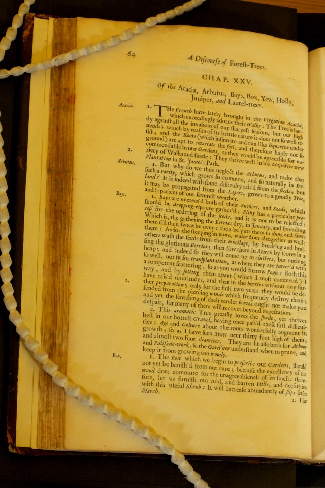 Royal Society - John Evelyn’s Sylva 4