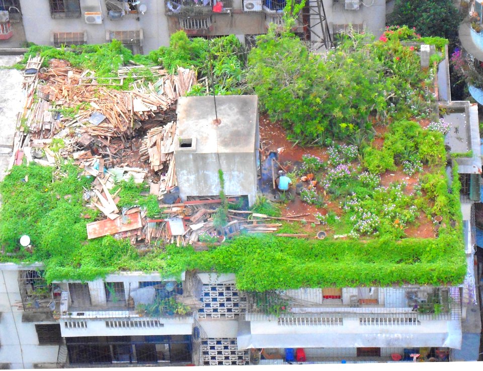 Roof top in Haikou, Hainan, China - 01