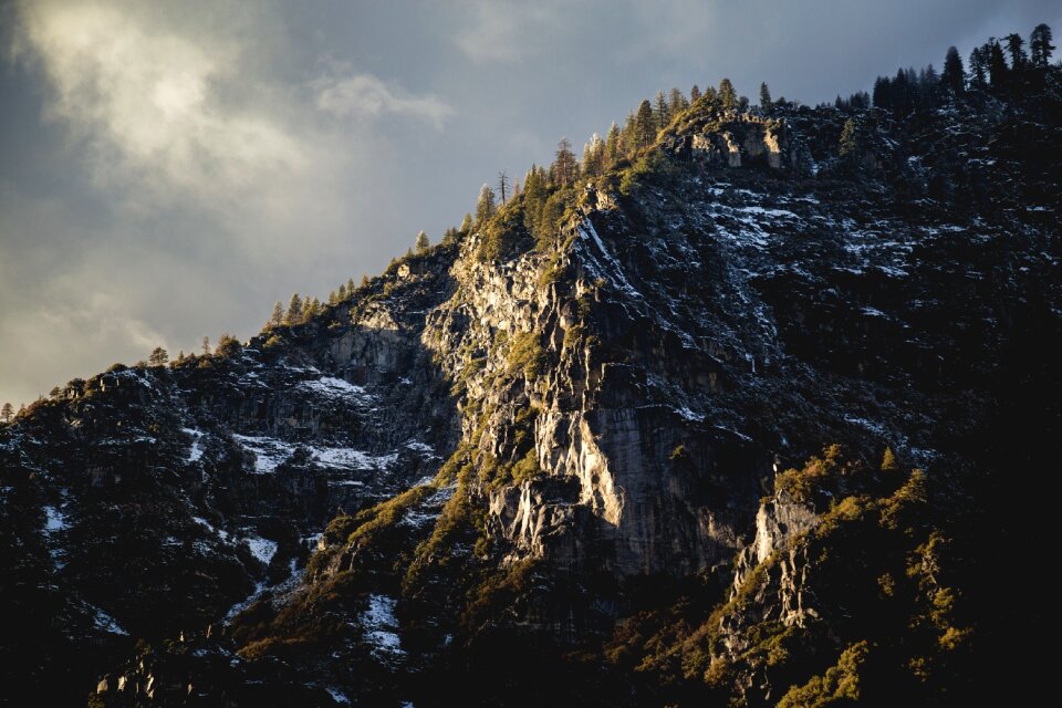Nature natural scenic