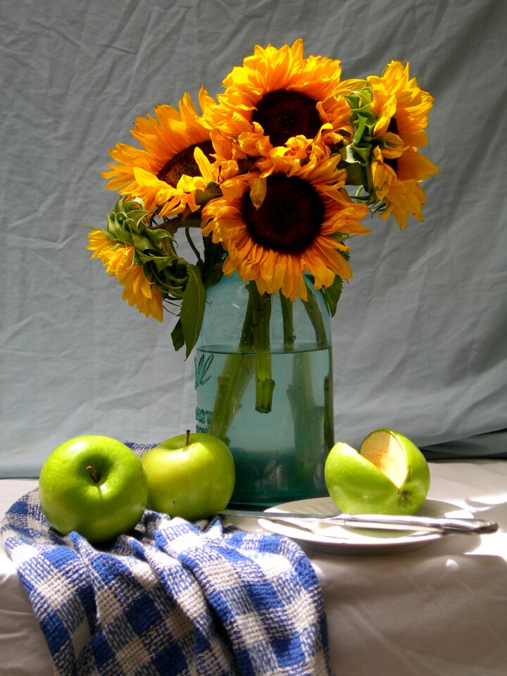 Still summer flower