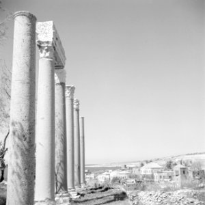 Romeinse zuilengalerij te Tyrus nabij Byblos, Bestanddeelnr 255-6379