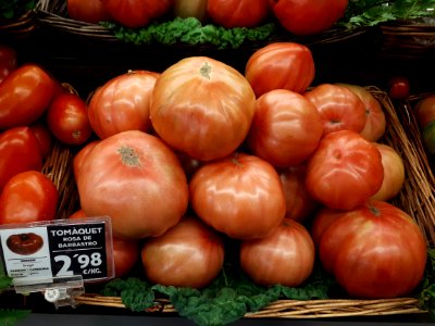 Rosa de Barbastro tomatoes 2017 A2