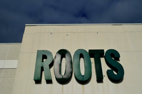 Roots3175Hwy7East2