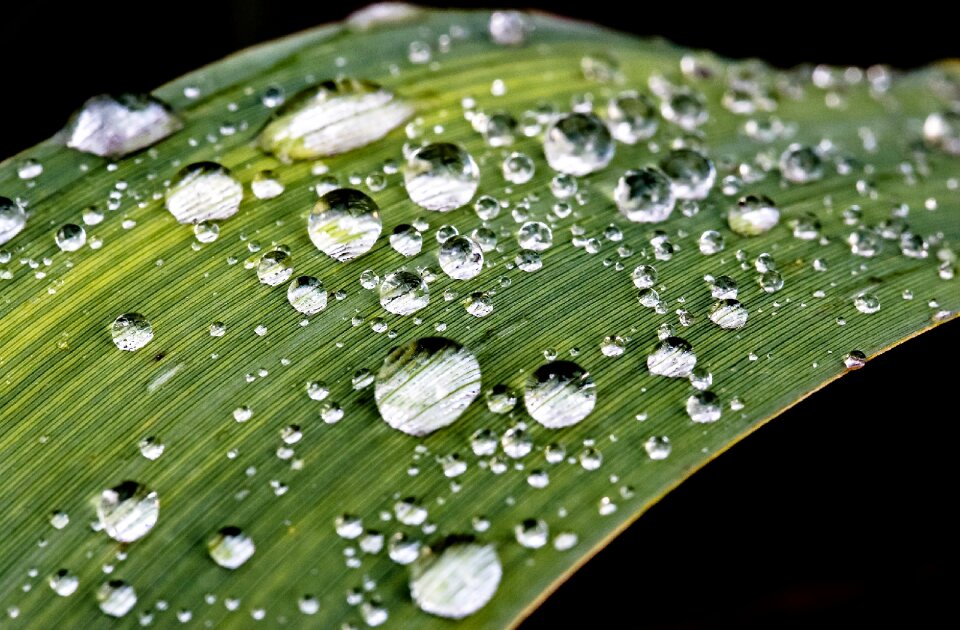 Water wet close up