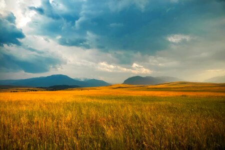 Mountains meadow field
