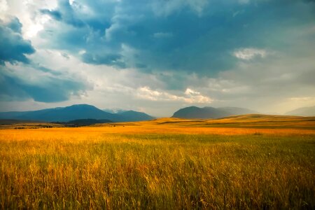 Mountains meadow field photo