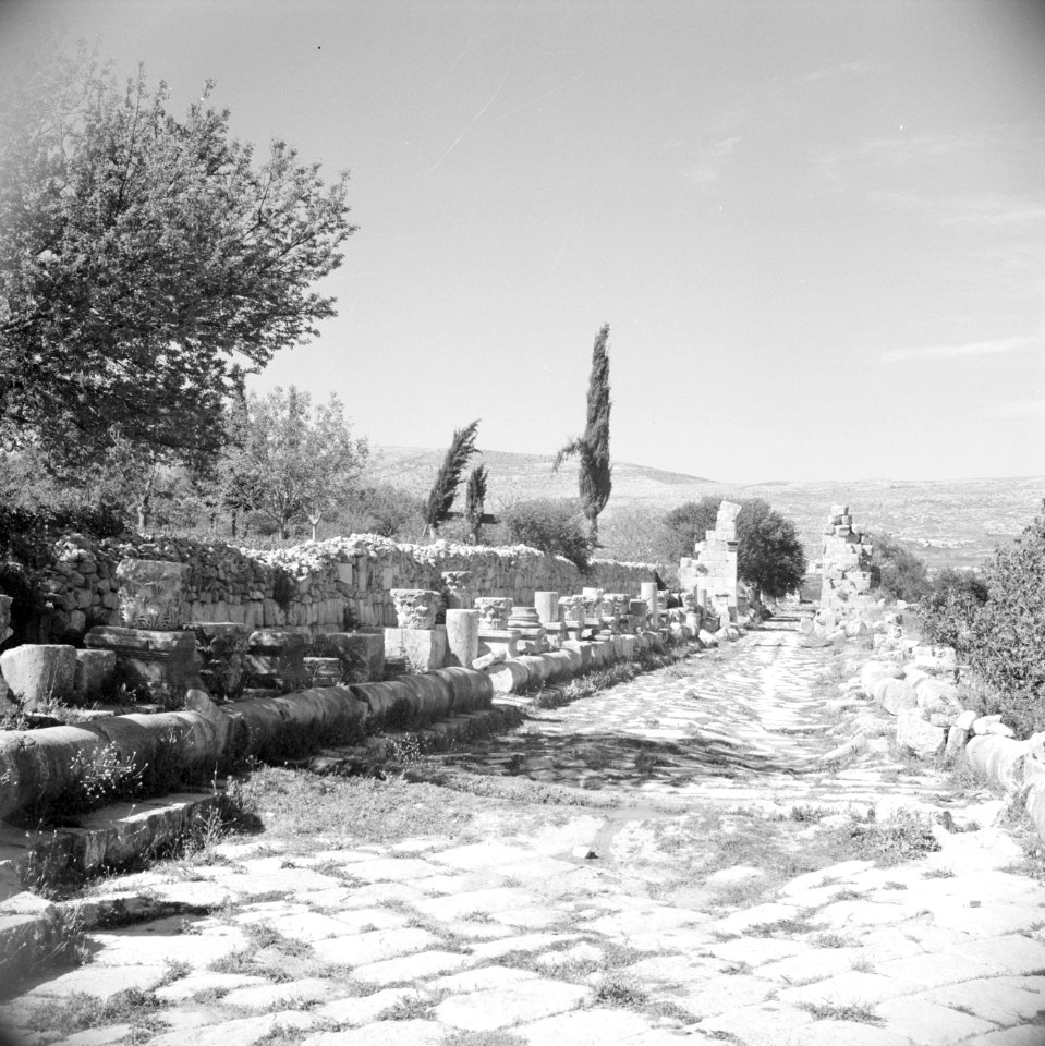 Romeinse weg naar Pella aan noordzijde van Jerash, Bestanddeelnr 255-5720