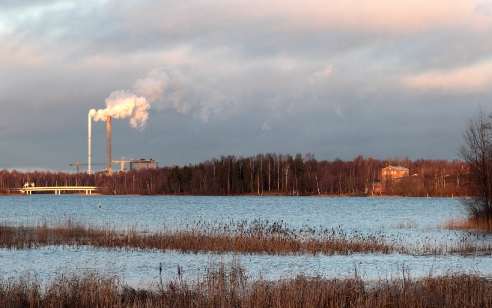 Rommakonselkä Oulu 20151129 02