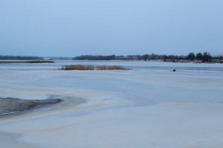 Rommakonselkä Oulu 20191206 01