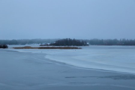 Rommakonselkä Oulu 20191206 03