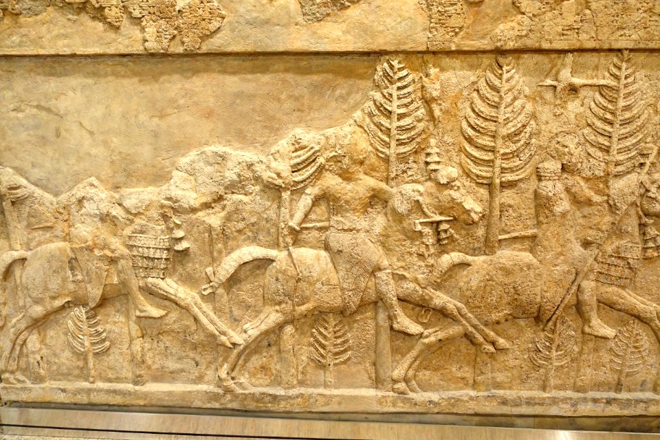 Room 7 relief 2 - Palace of Sargon II, Khorsabad, Neo-Assyrian period, 721-705 BC, alabaster - Oriental Institute Museum, University of Chicago - DSC07623