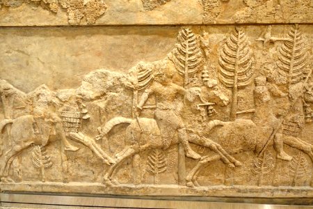 Room 7 relief 2 - Palace of Sargon II, Khorsabad, Neo-Assyrian period, 721-705 BC, alabaster - Oriental Institute Museum, University of Chicago - DSC07623