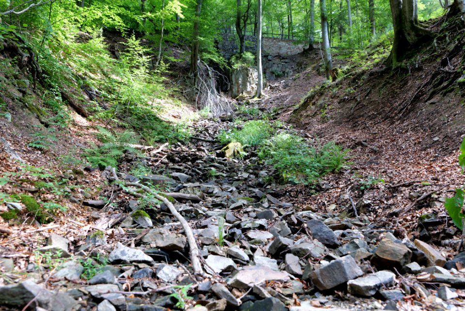 Rombachwasserfall Taunus 2020-08-18 21