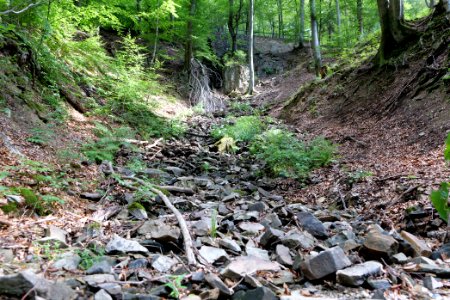 Rombachwasserfall Taunus 2020-08-18 21