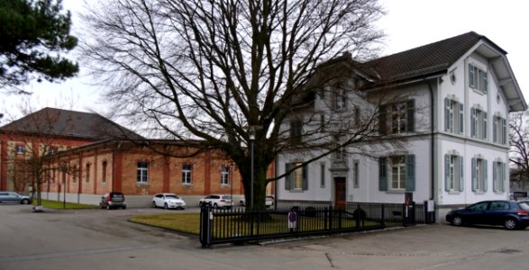 RomanshornAlkoholverwaltung1