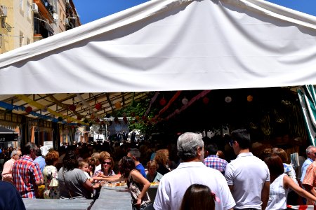 Romería del Cristo del Arroz 2017 20