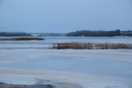 Rommakonselkä Oulu 20191206 02