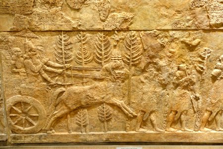 Room 7 relief 4 - Palace of Sargon II, Khorsabad, Neo-Assyrian period, 721-705 BC, alabaster - Oriental Institute Museum, University of Chicago - DSC07627
