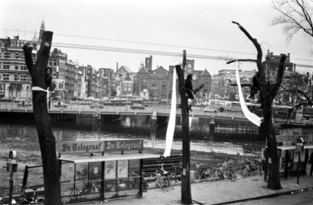 Rooien van bomen voor CS in Amsterdam verhinderd door leden van actiegroep Nieuw, Bestanddeelnr 927-6344