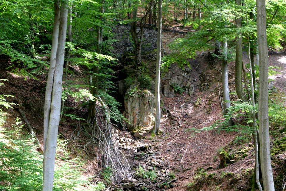 Rombachwasserfall Taunus 2020-08-18 05