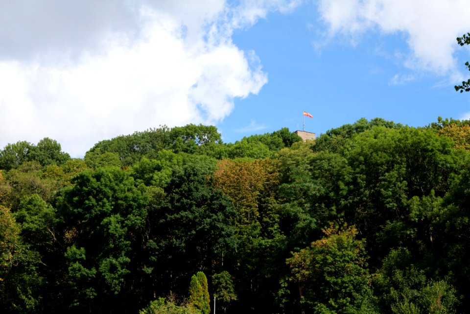 Rombachtal Taunus 2020-08-18 05