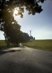 Windmill trees landscape photo