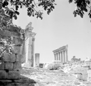 Romeinse zuilengalerij van de Jupiter tempel in Baalbek, Bestanddeelnr 255-6498