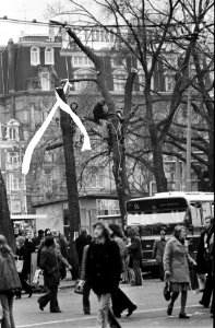 Rooien van bomen voor CS in Amsterdam verhinderd door leden van actiegroep Nieuw, Bestanddeelnr 927-6347