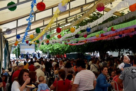 Romería del Cristo del Arroz 2017 21