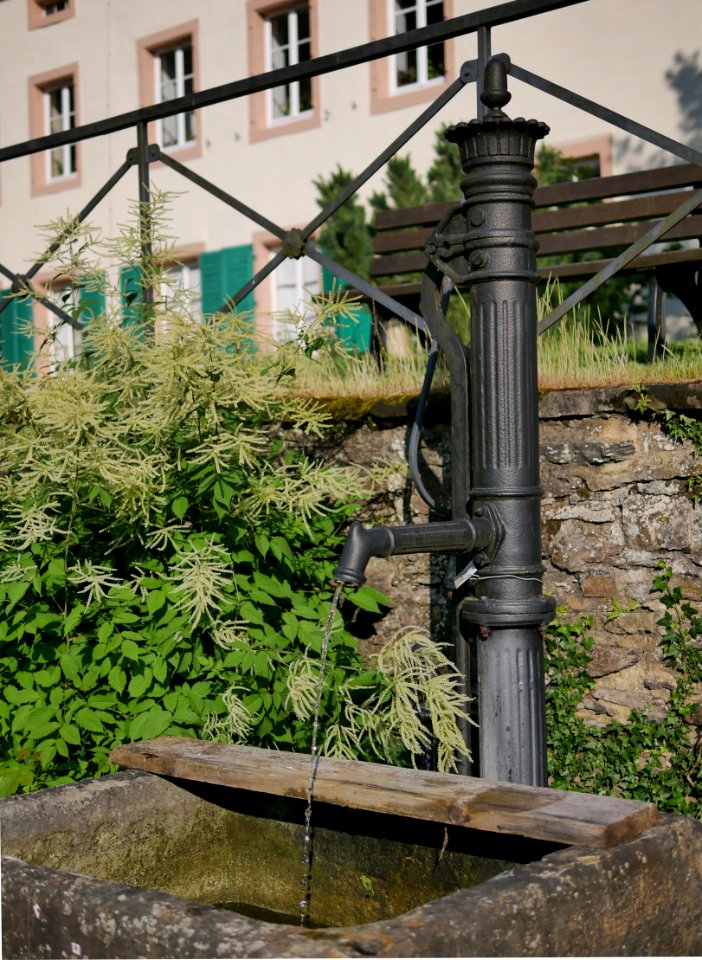 Roscheiderhof Rosengarten Brunnen Rosengarten