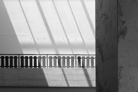 Light black and white sunshine