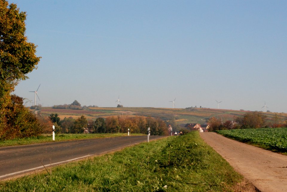 Rommersheim 50