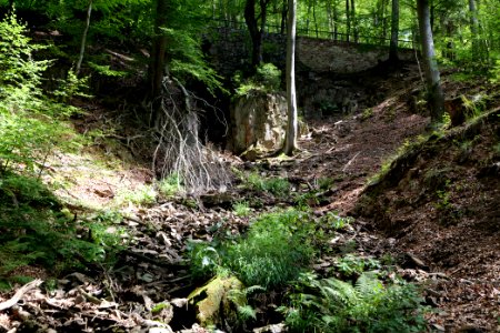 Rombachwasserfall Taunus 2020-08-18 15