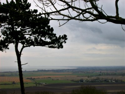 Romney Marsh from Lympne