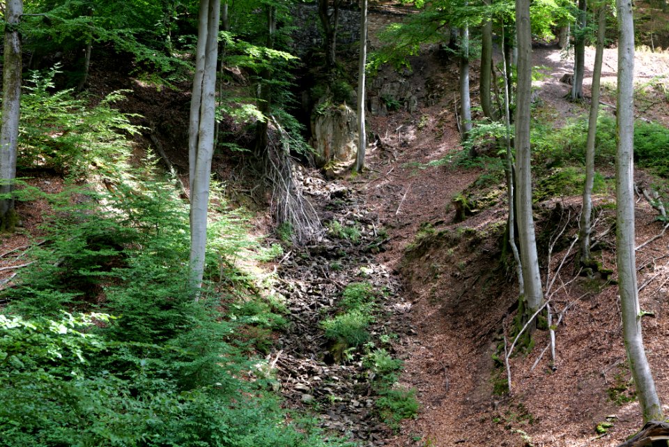 Rombachwasserfall Taunus 2020-08-18 04
