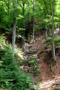 Rombachwasserfall Taunus 2020-08-18 01