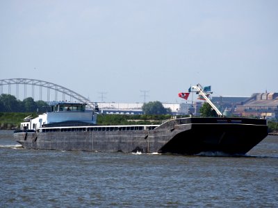 Romanos - ENI 02316150, Dordrecht, pic2
