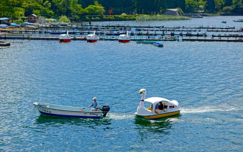 Romance in Hakone-machi - Hakone, Japan - DSC05457