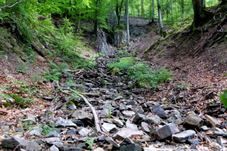 Rombachwasserfall Taunus 2020-08-18 19