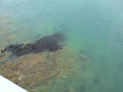 Roscoff Vent 25