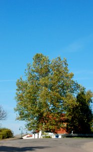 Rommersheim 43