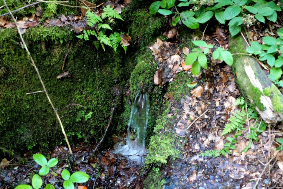 Rombach Taunus 2020-08-18 05