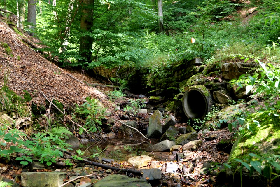 Rombach Taunus 2020-08-18 03