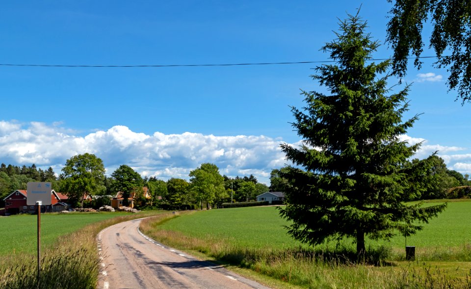 Rosenlund in Alsbäck