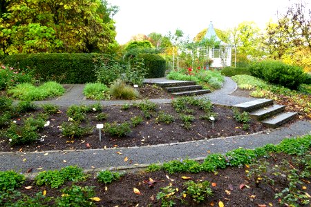 Rose garden - Landesgartenschau-Park - Würzburg, Germany - DSC04408