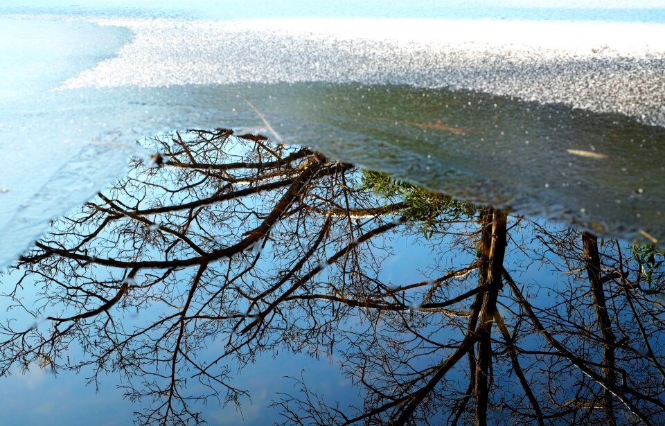 Mirroring winter park