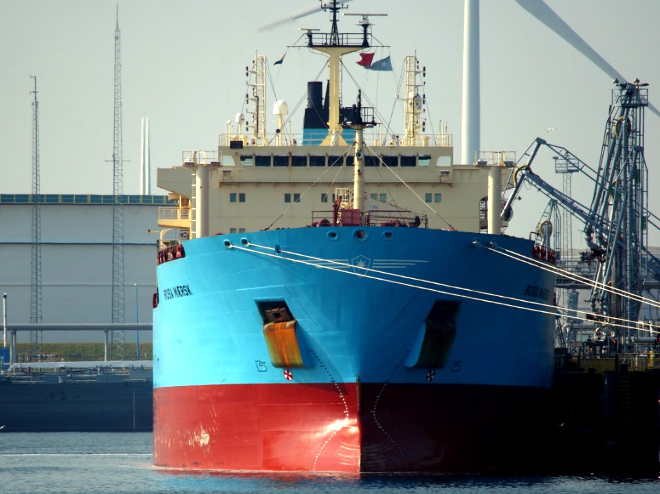 Rosa Maersk (ship, 2005) - IMO 9306940, Port of Rotterdam pic2