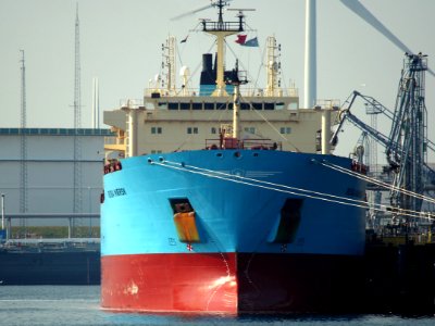 Rosa Maersk (ship, 2005) - IMO 9306940, Port of Rotterdam pic2